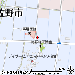 栃木県佐野市君田町30周辺の地図