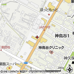 栃木県小山市神鳥谷302周辺の地図