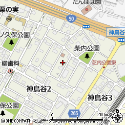 栃木県小山市神鳥谷2丁目12-9周辺の地図