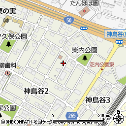 栃木県小山市神鳥谷2丁目12-7周辺の地図