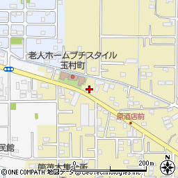 群馬県佐波郡玉村町上茂木135周辺の地図