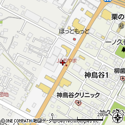 栃木県小山市神鳥谷301-3周辺の地図