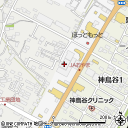 栃木県小山市神鳥谷301周辺の地図