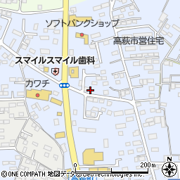 栃木県佐野市高萩町535周辺の地図