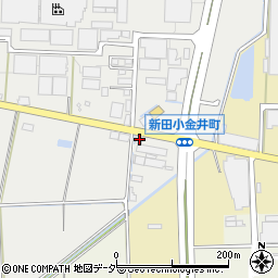 群馬県太田市新田小金井町161-4周辺の地図