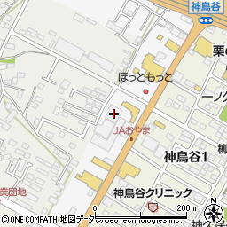 栃木県小山市神鳥谷297周辺の地図
