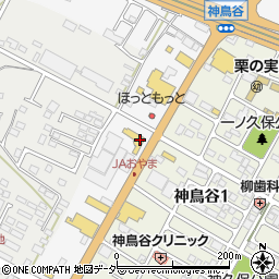 栃木県小山市神鳥谷296周辺の地図
