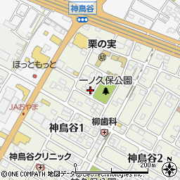 栃木県小山市神鳥谷1丁目周辺の地図