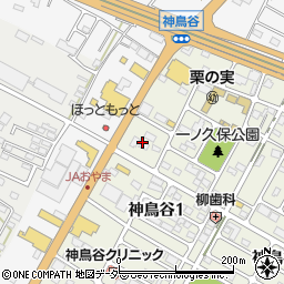 栃木県小山市神鳥谷1丁目10周辺の地図