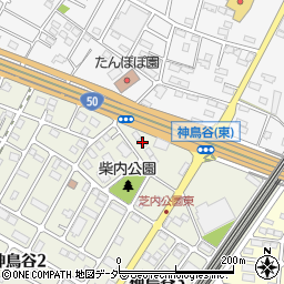 栃木県小山市神鳥谷2丁目3-33周辺の地図