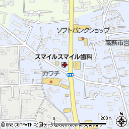 栃木県佐野市高萩町528周辺の地図