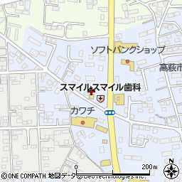 栃木県佐野市高萩町507周辺の地図