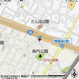 栃木県小山市神鳥谷2丁目3-36周辺の地図