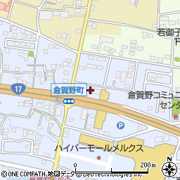 カレーハウスＣｏＣｏ壱番屋高崎倉賀野店周辺の地図