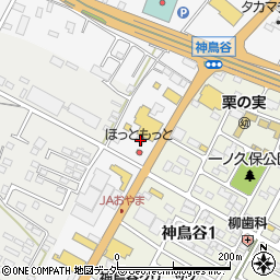 栃木県小山市神鳥谷290周辺の地図