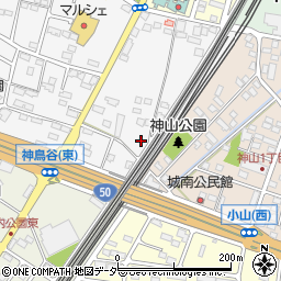 栃木県小山市神鳥谷1096周辺の地図