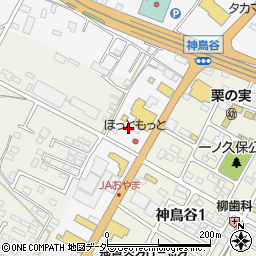 栃木県小山市神鳥谷293周辺の地図
