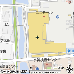 ケンタッキーフライドチキン新田店周辺の地図