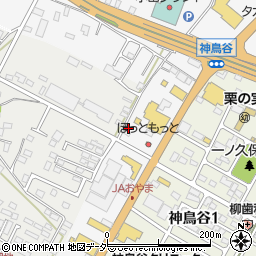 栃木県小山市神鳥谷292周辺の地図