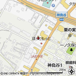 栃木県小山市神鳥谷292-1周辺の地図