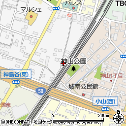 栃木県小山市神鳥谷1097周辺の地図