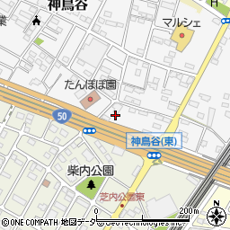 栃木県小山市神鳥谷1037周辺の地図