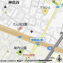 栃木県小山市神鳥谷1042周辺の地図