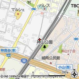 栃木県小山市神鳥谷1100-7周辺の地図