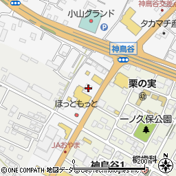 栃木県小山市神鳥谷287-1周辺の地図