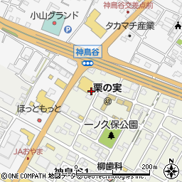 栃木県小山市神鳥谷1丁目1周辺の地図