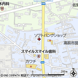 栃木県佐野市高萩町509周辺の地図