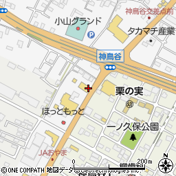 栃木県小山市神鳥谷283周辺の地図