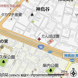 栃木県小山市神鳥谷917-1周辺の地図