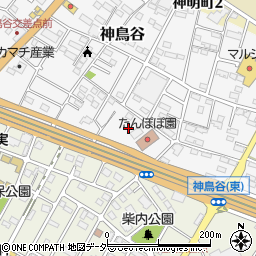 栃木県小山市神鳥谷933-3周辺の地図