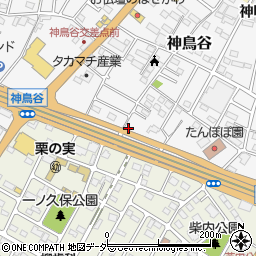 栃木県小山市神鳥谷903周辺の地図