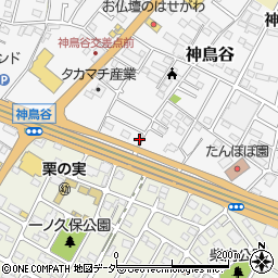 栃木県小山市神鳥谷888周辺の地図