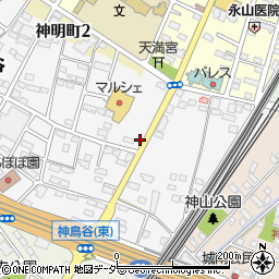 栃木県小山市神鳥谷1068周辺の地図