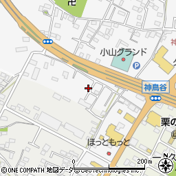 栃木県小山市神鳥谷252周辺の地図