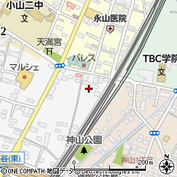 栃木県小山市神鳥谷1106周辺の地図