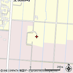 栃木県佐野市免鳥町245周辺の地図