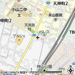 栃木県小山市神鳥谷1085周辺の地図