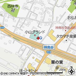 栃木県小山市神鳥谷195周辺の地図