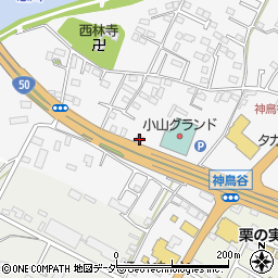 栃木県小山市神鳥谷210-4周辺の地図