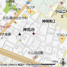 栃木県小山市神鳥谷869-2周辺の地図