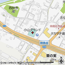 栃木県小山市神鳥谷202周辺の地図