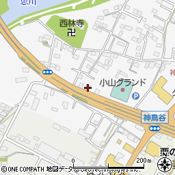 栃木県小山市神鳥谷210周辺の地図