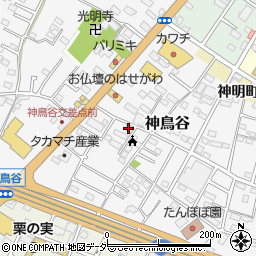 栃木県小山市神鳥谷881-16周辺の地図