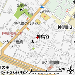 栃木県小山市神鳥谷879周辺の地図