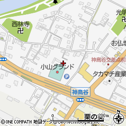 栃木県小山市神鳥谷193周辺の地図
