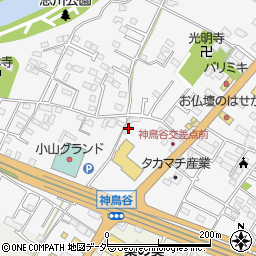 栃木県小山市神鳥谷267周辺の地図